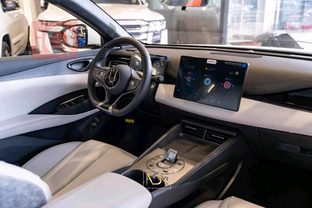 بي واي دي سيل 06 DM-i